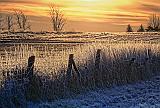 Frosty Sunrise_20041,5